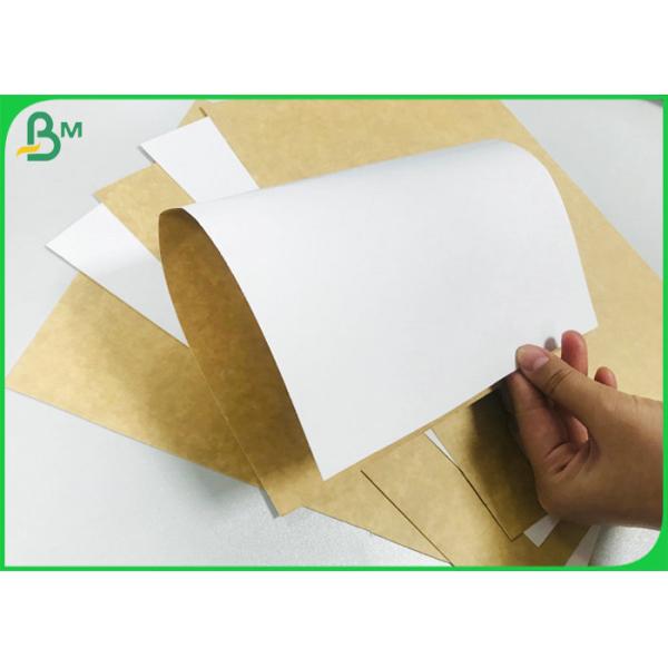 Coated Surface Virgin Pulp White Top Liner Board 325gr / ㎡ Sheets With Food Grade