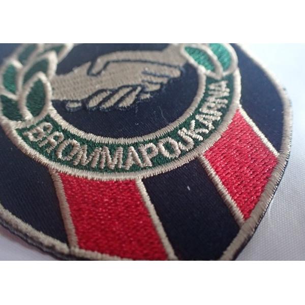 Зашейте утюг на заплатах вышивки одежды 3д вышитых таможней