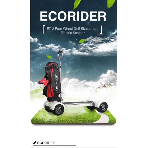 10.5 Inch 4 Wheel Skateboard 1000W Brushless Motor With Removable Golf Handle Bar