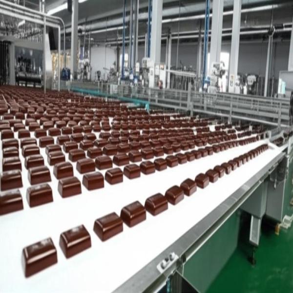 Energy Bar Machine 40-60pcs/min 0.8kw for Protein Chocolate Bars