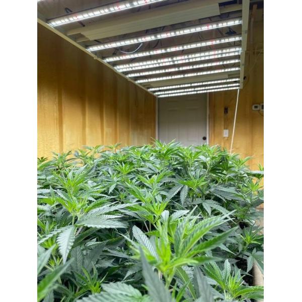 Full Spectrum LED Lights For Organic Plants 1400W OEM UV IR