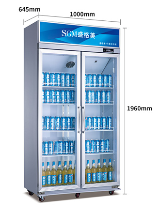 Energy-Saving Two Doors Refrigerator with Customized Input Power and R290a Refrigerant