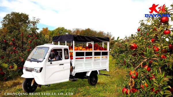 Triciclo de carga motorizado de semi-cabine de 800W com cabine fechada e tampa de carga de plástico