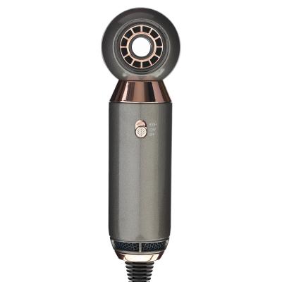material do ABS de 800W Mini Pet Hair Dryer com o motor da C.C. da longa vida