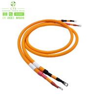 CTS personnalisé OEM ODM Industrial Automobile Harness de fil de voiture avec connecteur pour automobile