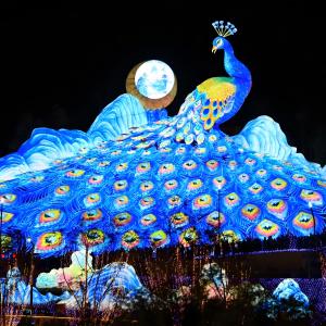 LED Peacock Traditional Chinese Festival Lantern for Outdoor Zoo Decoration