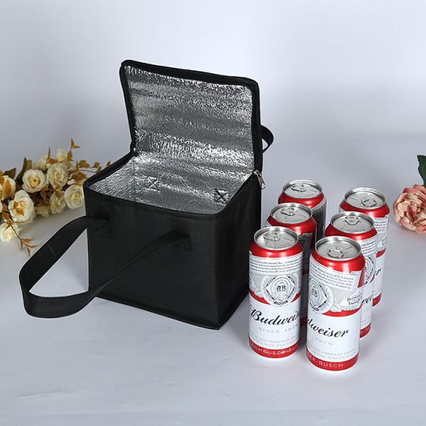Custom Logo Soft-loop Cooler Bag for Insulated Green Grocery Picnic Beer and More