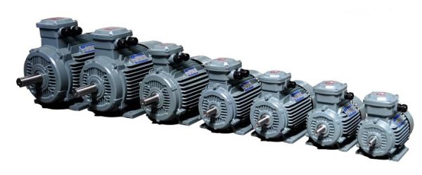 Motor elétrico trifásico eficiente alto à prova de explosões