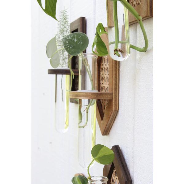 Wall Hanging Boho Hydro Planter Wall Planter with Silk-screen Printing/Burned