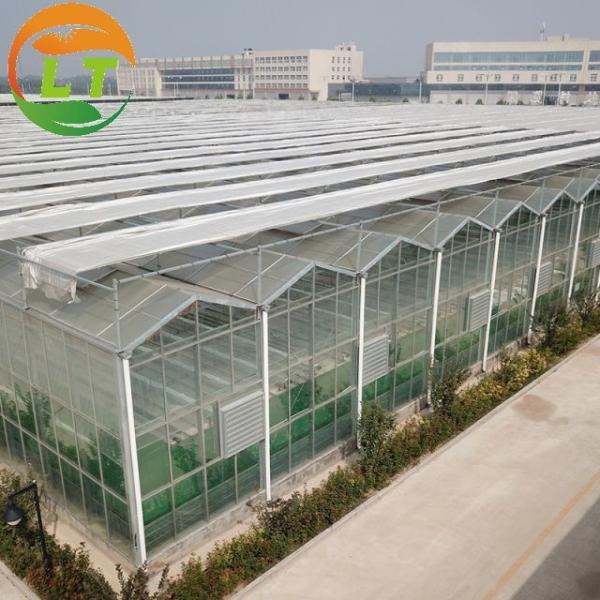 Estufas agrícolas multiespan com aço galvanizado a quente e sistema inteligente