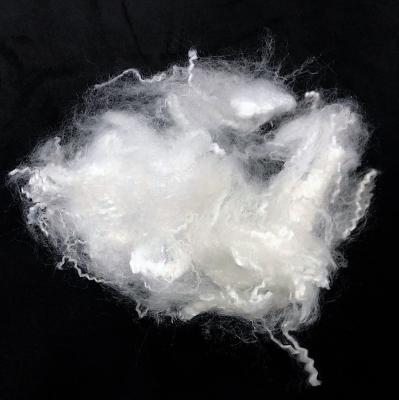 Polyester Staple Fiber 7D*64mm Hollow Conjugate Siliconized/Non-siliconized HCS/HC