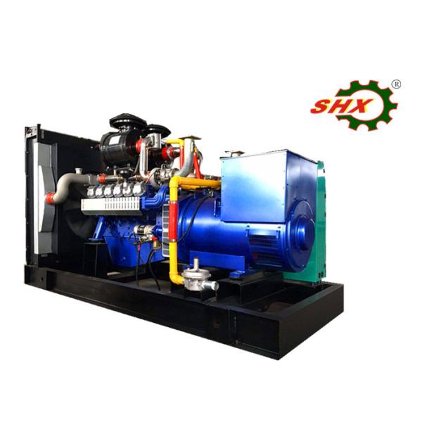 200KW/250KVA Natural Gas Powered Standby Generator AC Three Phase Straw Gas
