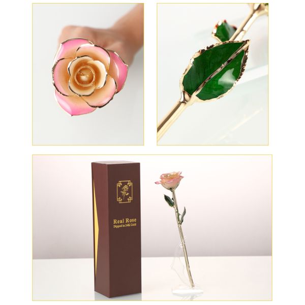 Hot Sale Gold Trimmed Rose Flower Girlfriend Gift 24k Gold Plated Natural Rose for Valentine's Day, Mother's Day Gifts