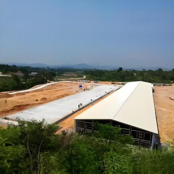 Steel Frame Poultry Shed for 10000 Chickens - Q235/Q355 H Section Structure