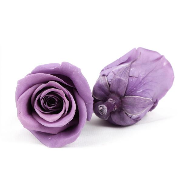 Diâmetro imortal Rose Flower For Mothers Day preservada 5-6cm