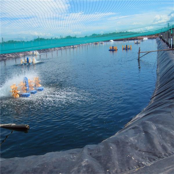 Folha de piscina de borracha de HDPE para lagos artificiais, flexível e durável