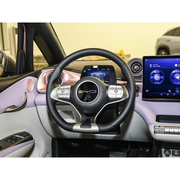 Compact 2025 BYD Dolphin BYD EV Car Pure Electric Panoramic Canopy Range 420km