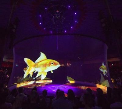 Holo Gauze Holographic Mesh Screen Eyelets Motorized 30m Length For Projection