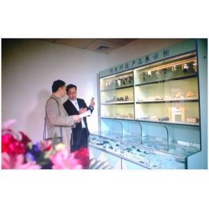 Shenzhen Jingji Technology Co., Ltd.