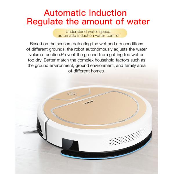 Customized Cleaning And Mopping Robot With Remote Control And APP Control