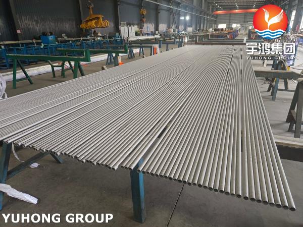 ASTM A213 TP316L ステンレス鋼のシームレス熱交換器束管
