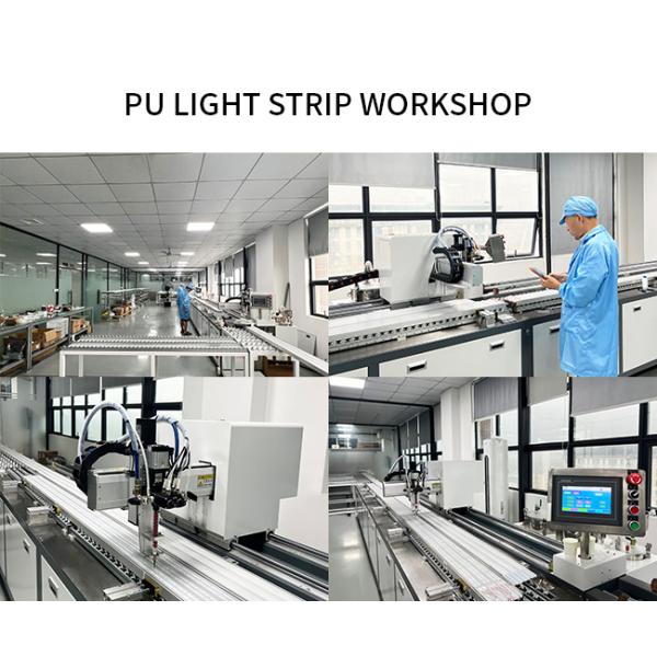 08*08mm Indoor LED Strip With Silicone Cover With Neon Border UV ETL FCC Certified