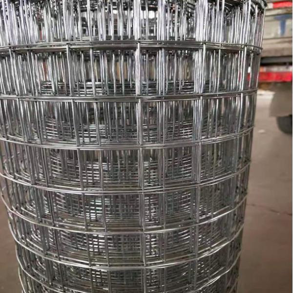 25m 30m Galvanized Welded Metal Wire Mesh Rolls 1/4 inch 8 inch Aperture