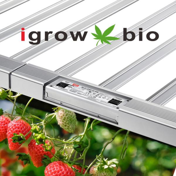 680W ETL approval UV LED Grow Lights bar with full spectrum for medical plants grow systems