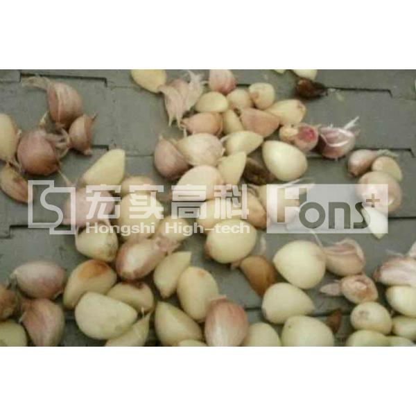Single Channel CCD Color Sorter Garlic Color Sorting Machine 350kg Weight