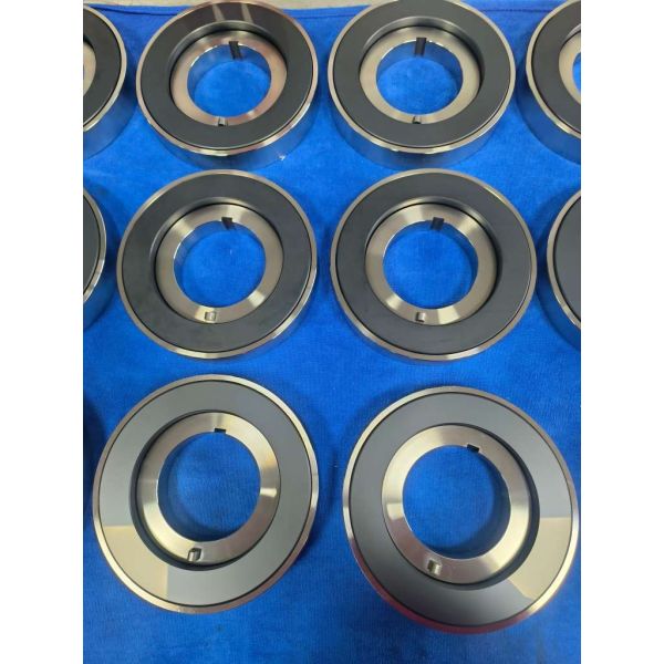 SiC Thrust Washer for Canned Motor Pumps
