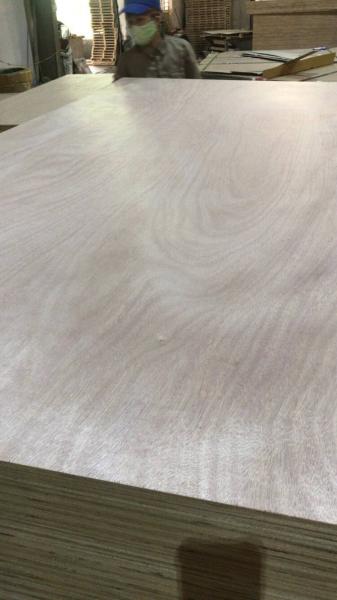 Birch Faced Plywood Glue Acacia Wood Core 16mm 18mm