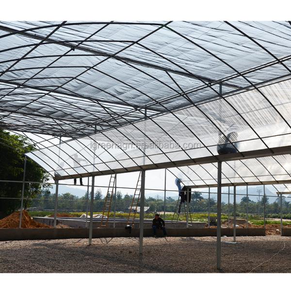 Film Type Multi Span Greenhouse Wide Span Greenhouse With Steel Skeleton And Shoulder Height 2m