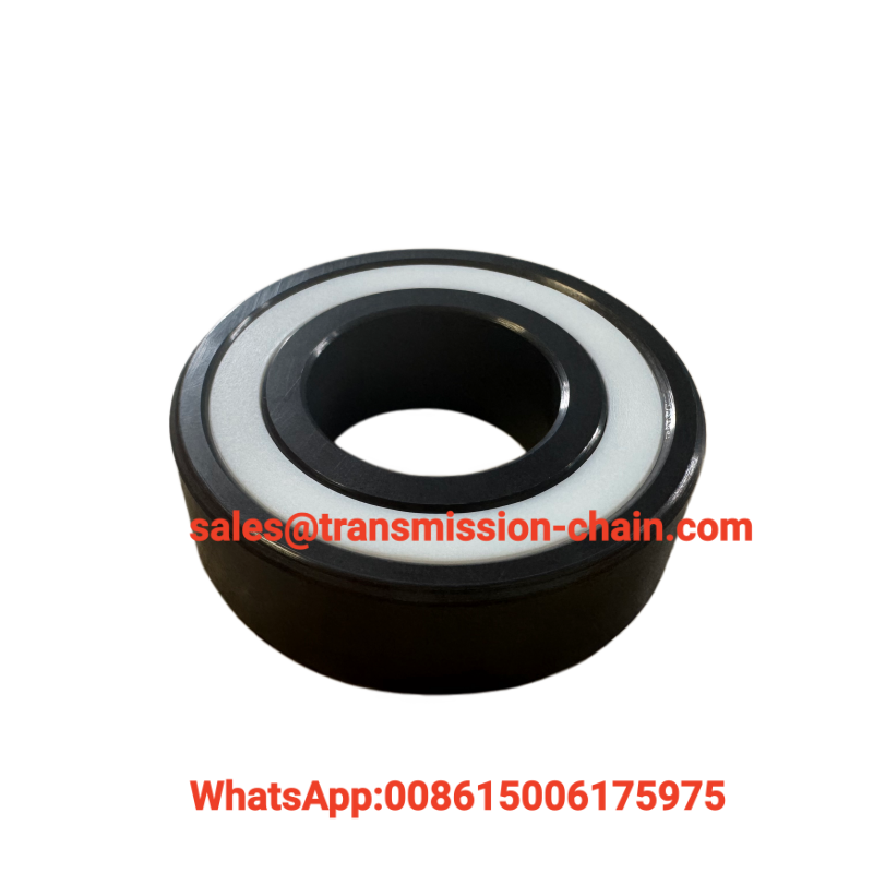 Si3N4 Silicon Nitride Ceramic Material 6205CE-2RS Full Ceramic Deep Groove Ball Bearing