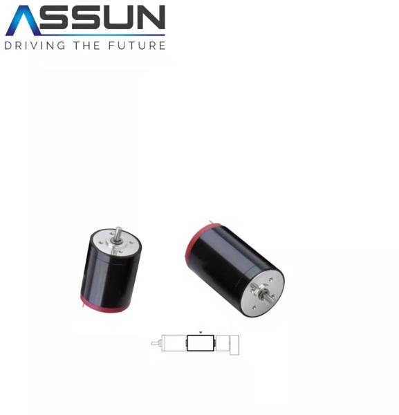 Graphite Brush Coreless DC Motor.Carbon Brushed DC Motor.DC Brush Motor12V24V48V