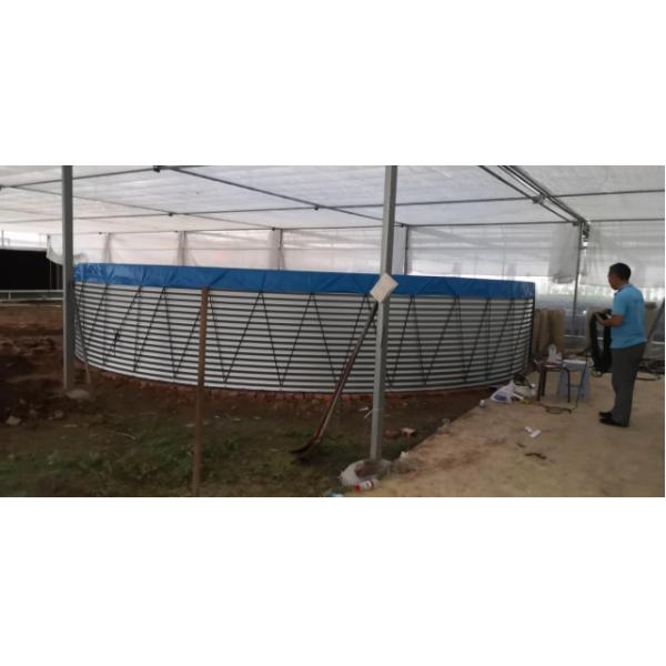 Industrial Indoor Recirculating Aquaculture System 7kg/M³ Shrimp Density 30% Faster Growth