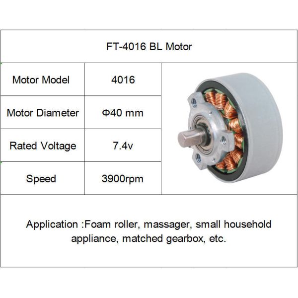 FT-4016 Electric Brushless DC Motor Types 2000RPM-22000RPM High Speed