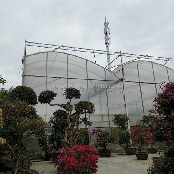 IGreen Tunnel Strawberry Greenhouses for Sale Price of M2 Agricultural Greenhouse