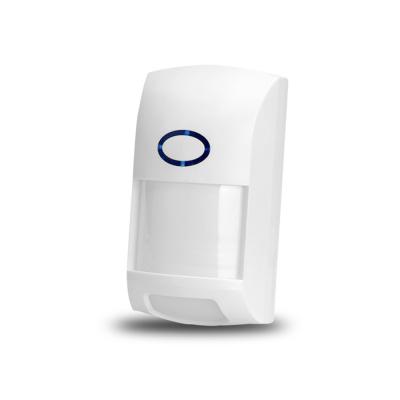 PIR Motion Sensor interno