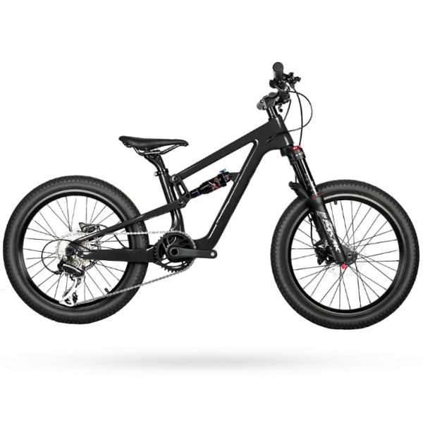 Велосипеды 20er полных детей горы технологии MTB EPS углерода подвеса