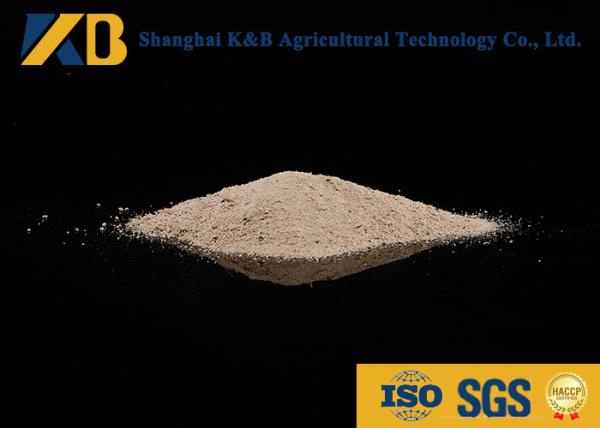 High Protein Content Rice Protein Powder Feed Grade With Yellowish Colour