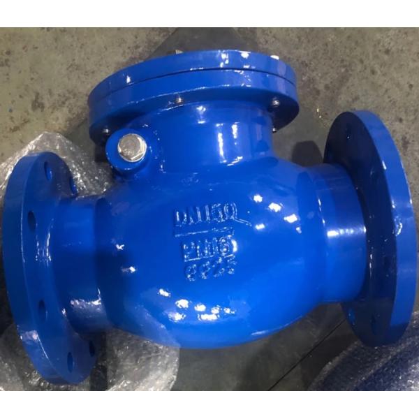 DN250 PN16 GGG50 cast iron swing check valve