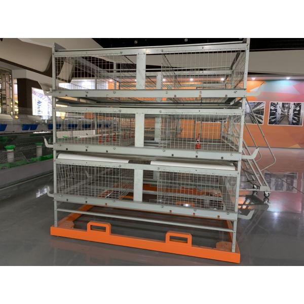 3 Tier 96 Birds / Set Layer Chicken Cage With Feeding And Egg Collecting System