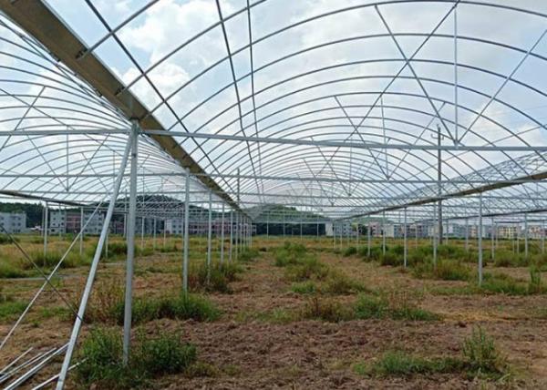 Greenhouse Round ERW Steel Pipe , Hot Dip Galvanized Steel Pipe Good Reliability