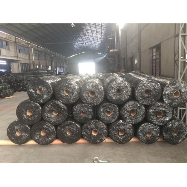 Contruction разделило сплетенную фильмом защиту среды Geotextile