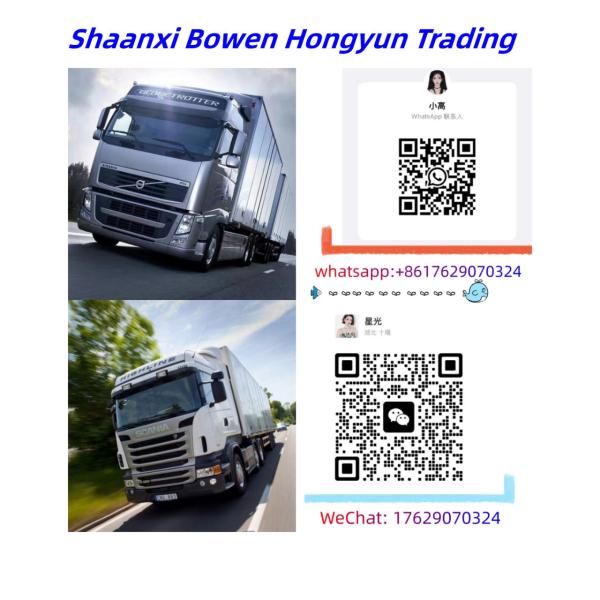 OEM Standard Size 81934206110 for MAN Maintenance-Free Wheel Bearings