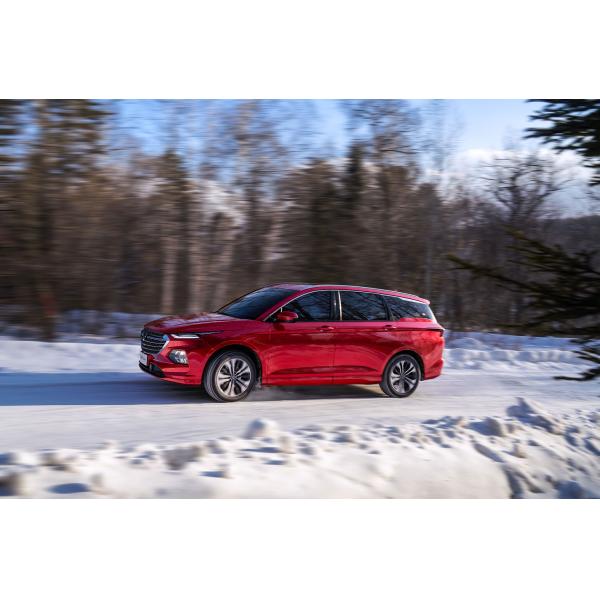 Energy Features Wuling Capgemini 5-Door Chinese Car with Large Business Space in Purple