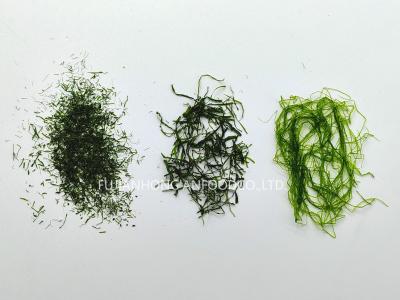 Nutrient-Rich 500g Oceanic Green Prolifera Powder For Salads  Vegan Sushi Rolls