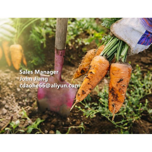 85% Bioactive Amino Acid Fertilizer with 16% Organic Nitrogen and Next-Gen Bio-Chelation Technology