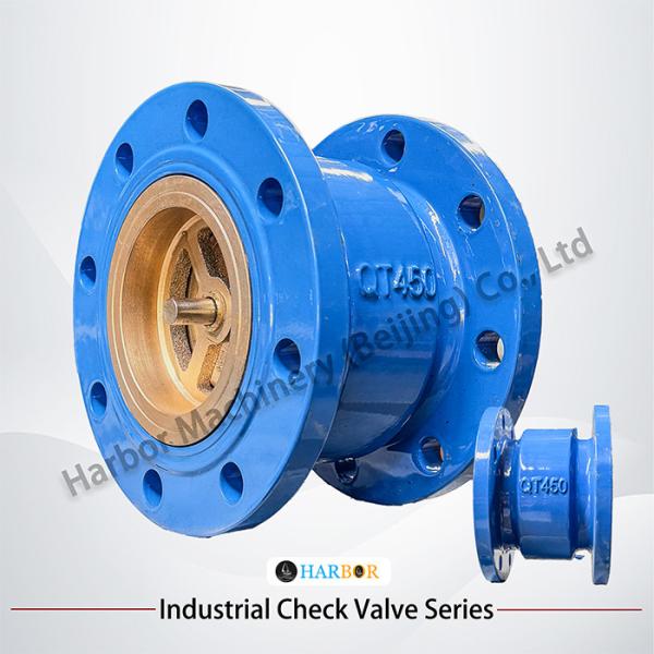 H42H-16/25C Cast Steel Vertical Single-Direction Flanged Check Valve with OEM Support
