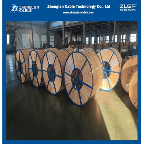 Excellent Conductivity Power Transmission Line Conductor Cable AAAC Factory Supply with AS 1531 Standard